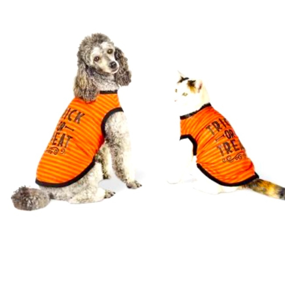 Halloween Trick or Treat Graphic Dog and Cat T-Shirt Orange Hyde & EEK! Boutique